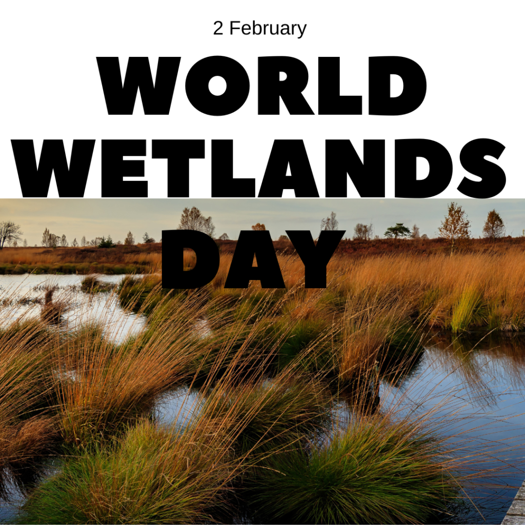 PRIME INITIATIVE FOR GREEN DEVELOPMENT (PIGD) IN COMMEMORATION WITH THE 2023 WORLD WETLANDS DAY, ADVOCATES FOR NIGERIA’S RAMSAR SITES: MORE WETLANDS INCLUSION AND RESTORATION.