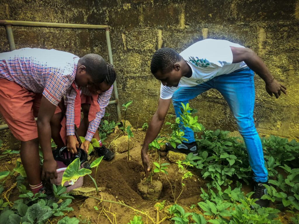 International Day of Forest